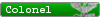 Colonel